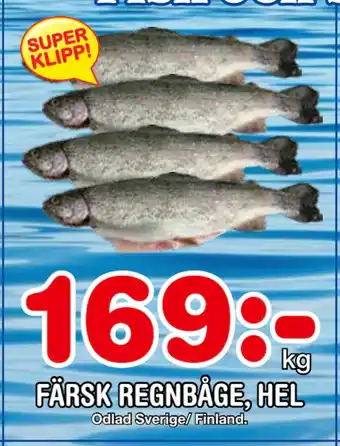 Nya Pulsen FÄRSK REGNBÅGE, HEL erbjuda