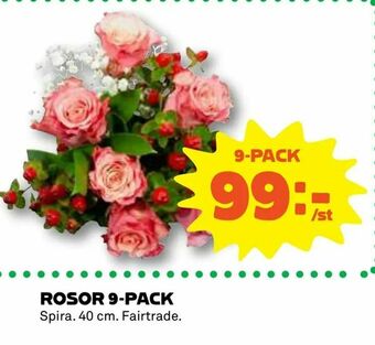 Coop Daglivs Rosor 9-pack erbjuda