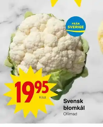 Matöppet Svensk blomkål erbjuda
