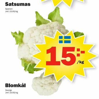 Pekås Blomkål erbjuda
