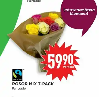 Willys Hemma Rosor mix 7-pack erbjuda