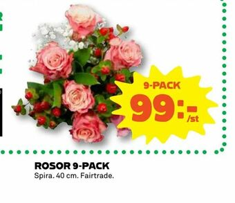 Coop Rosor 9-pack erbjuda