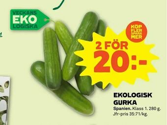 Coop Forum Ekologisk gurka erbjuda