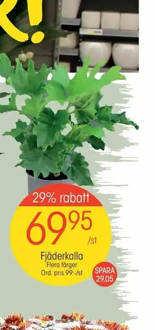 EKO Fjäderkalla erbjuda