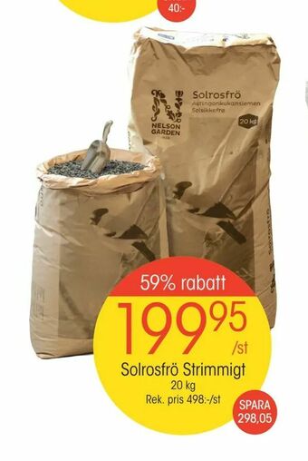EKO Solrosfrö Strimmigt erbjuda