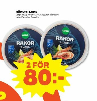 Stora Coop Räkor i lake erbjuda