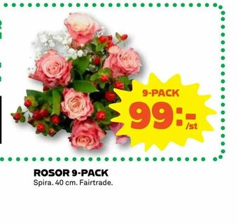 Coop Konsum Rosor 9-pack erbjuda