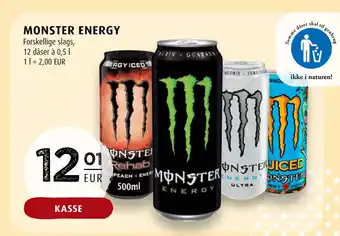 Scandinavian Park MONSTER ENERGY erbjuda