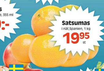 Satsumas