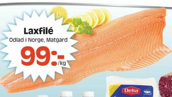 Laxfilé