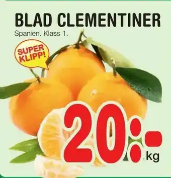 Nya Pulsen Blad clementiner erbjuda