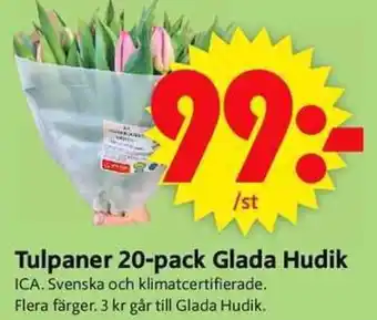ICA Supermarket Tulpaner 20-pack Glada Hudik erbjuda
