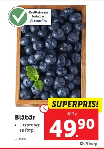 Allmans blåbär