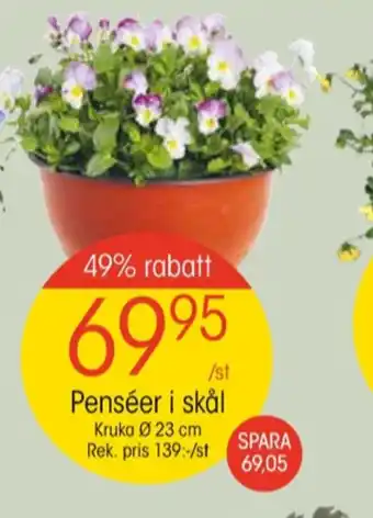 EKO Taste of nature plantor erbjuda