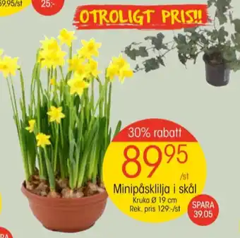 EKO Taste of nature plantor erbjuda