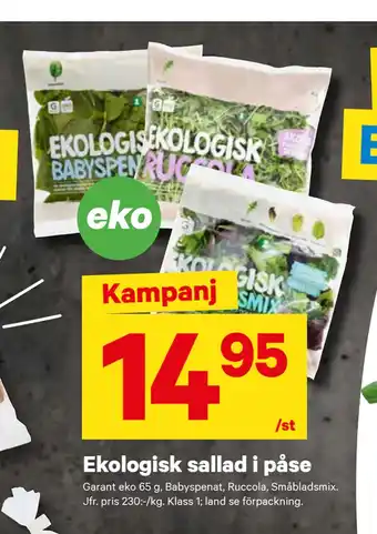 City Gross Ekologisk sallad i påse erbjuda