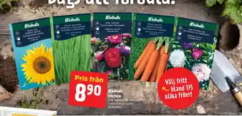 FRÖER