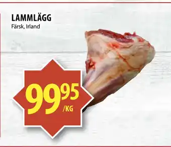 LAMMLÄGG