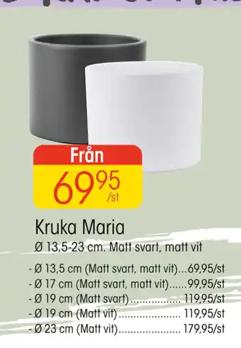 EKO Kruka Maria erbjuda