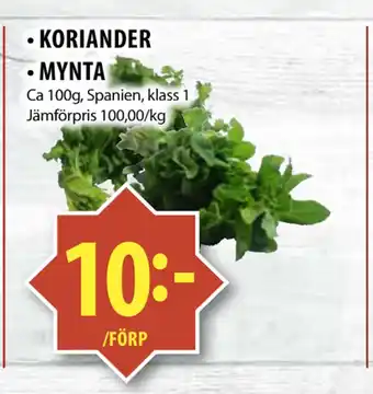 Matvärlden Tensta KORIANDER • MYNTA erbjuda