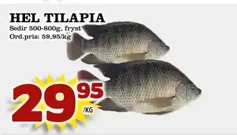 Supergrossen HEL TILAPIA erbjuda