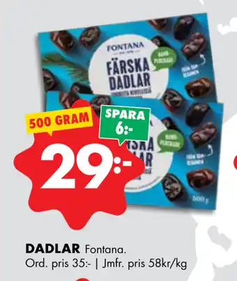 ÖoB DADLAR erbjuda