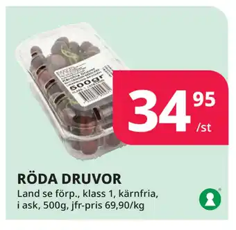 RÖDA DRUVOR