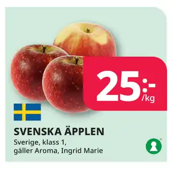 Tempo SVENSKA ÄPPLEN erbjuda