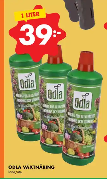 ODLA VÄXTNÄRING