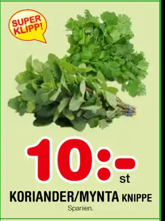 Nya Pulsen KORIANDER/MYNTA erbjuda