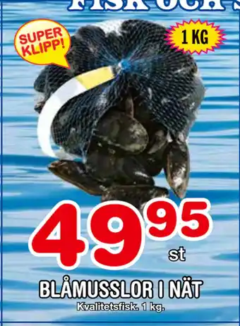 Nya Pulsen BLÅMUSSLOR I NÄT erbjuda