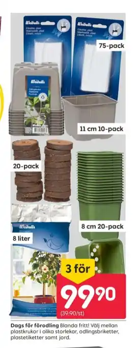 Rusta Weibull plantetikett erbjuda