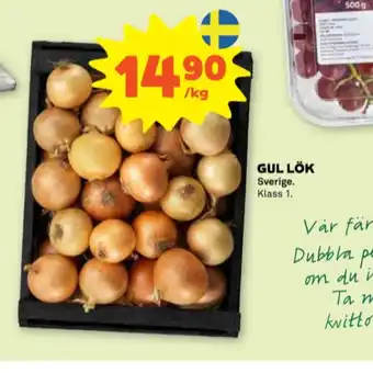 Stora Coop Guldfågeln lök erbjuda
