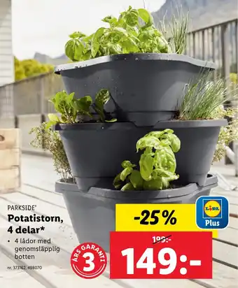 Lidl Potatistorn, 4 delar* erbjuda