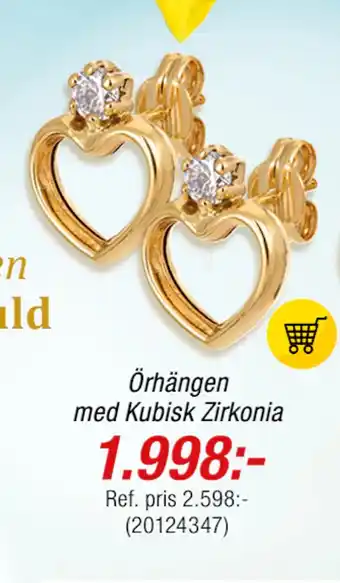 Guldfynd Örhängen med Kubisk Zirkonia erbjuda