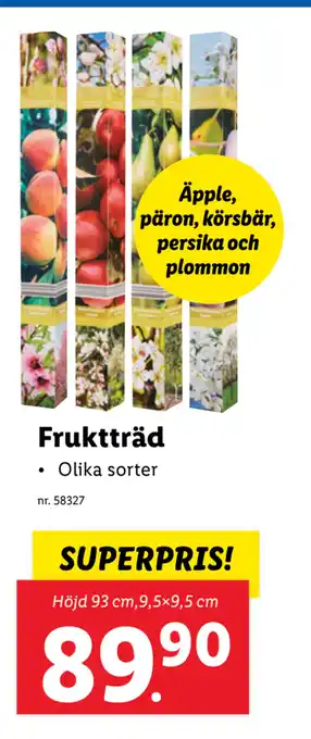 Lidl Fruktträd erbjuda