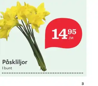 Hemköp Coop blommor erbjuda