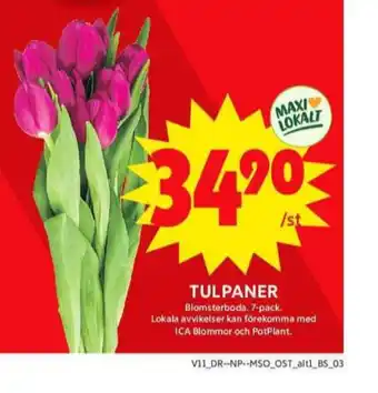 ICA Maxi Blomsterboda blommor erbjuda