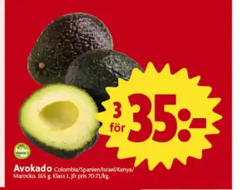 ICA Nära Ica avocado erbjuda