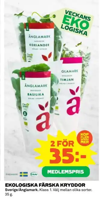 Coop EKOLOGISKA FÄRSKA KRYDDOR erbjuda