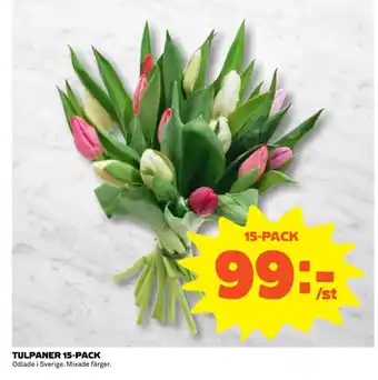Coop TULPANER 15-PACK erbjuda