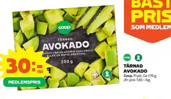 TÄRNAD AVOKADO