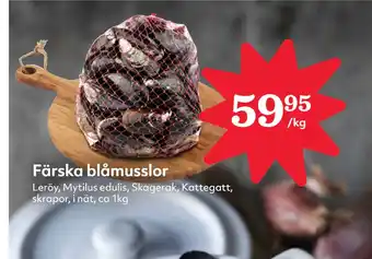 Hemköp Färska blåmusslor erbjuda