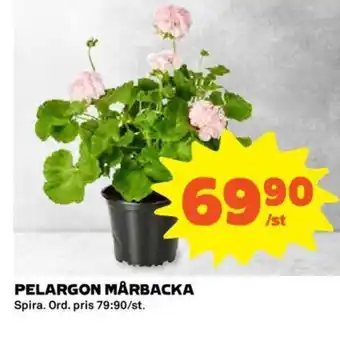 Coop PELARGON MÅRBACKA erbjuda