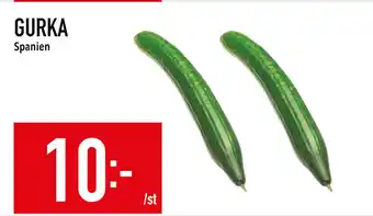 Matdax GURKA erbjuda