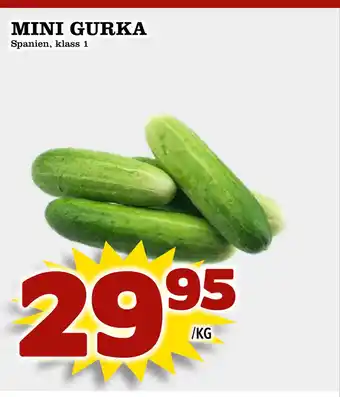 Supergrossen MINI GURKA erbjuda