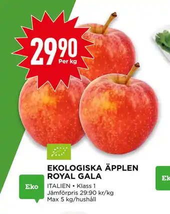 Willys EKOLOGISKA ÄPPLEN ROYAL GALA erbjuda