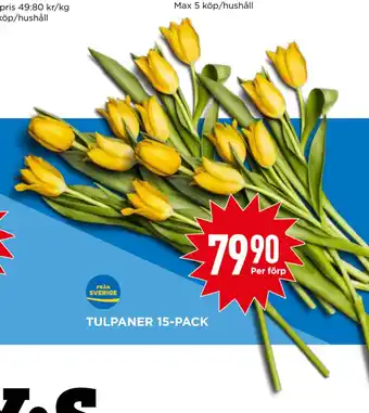 Willys TULPANER 15-PACK erbjuda