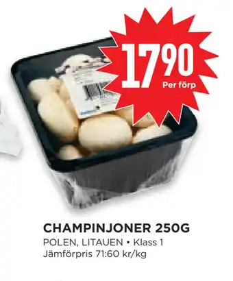 Willys Hemma CHAMPINJONER 250G erbjuda