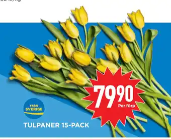 Willys Hemma TULPANER 15-PACK erbjuda